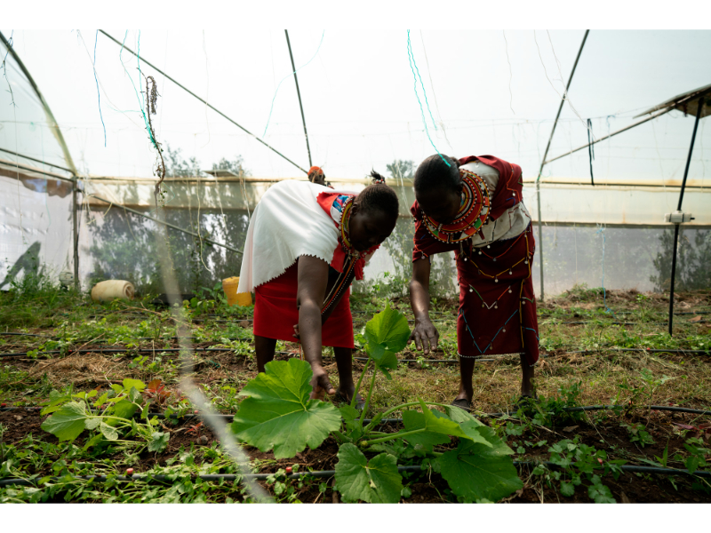 GCL20221125LAIKPIAIPSIA0410