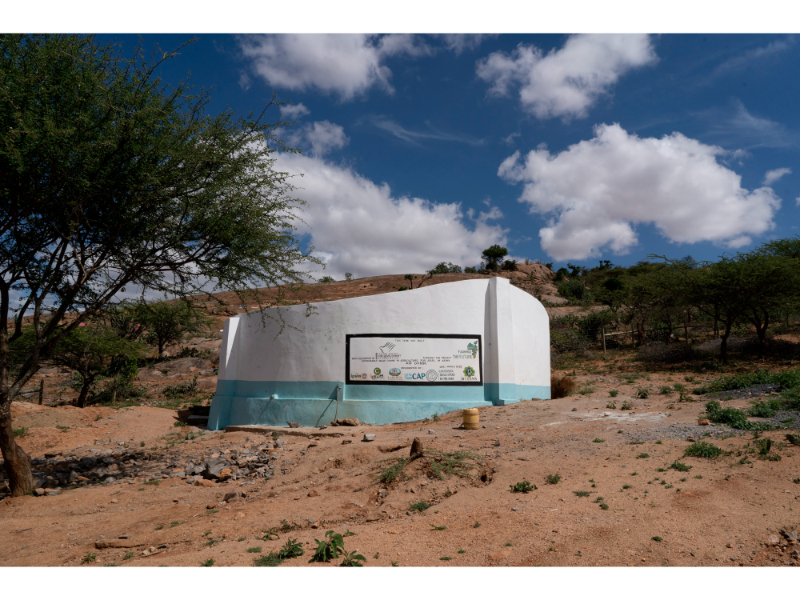 How Laikipia’s Community-Led Water Harvesting Is Securing Lives and Livelihoods