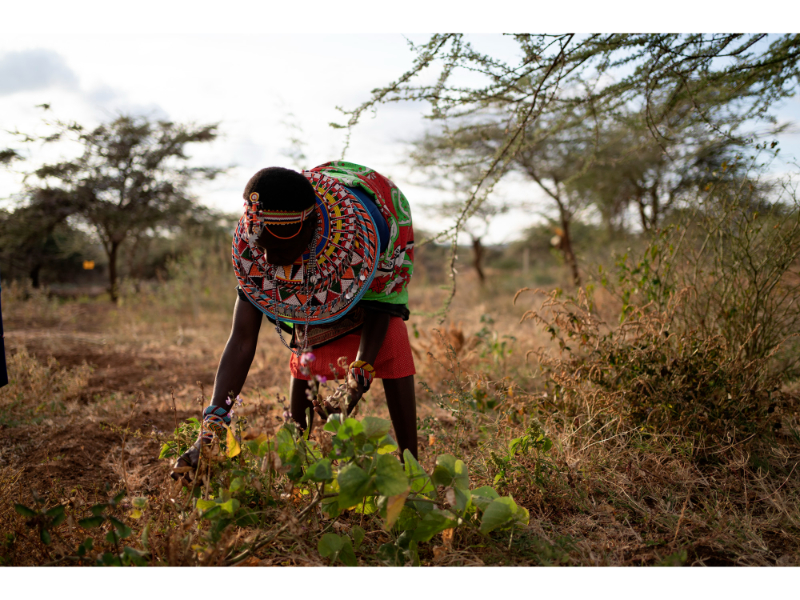 GCL20221127LAIKPIAIPSIA1360