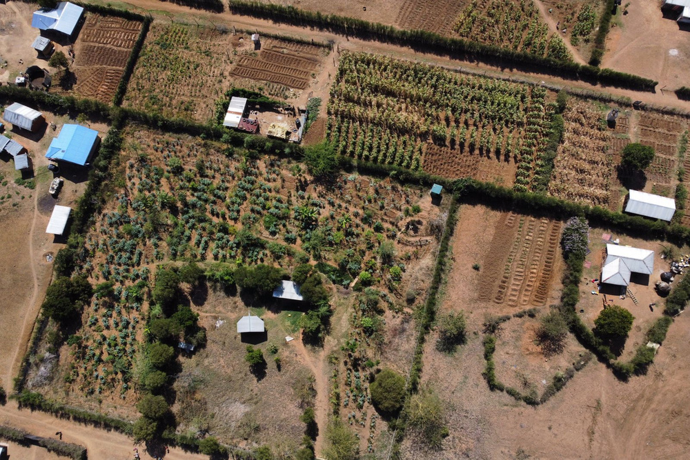 LPCT_Magazine-3.pdf-image-030_1000x667